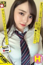 h_491dori058pl